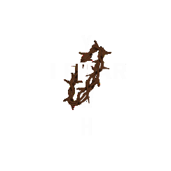 I Fear YHWH Clothing 